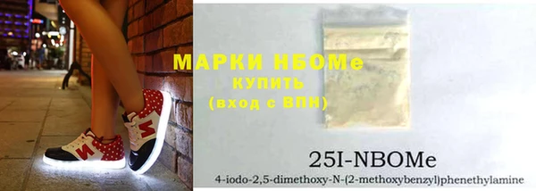 стаф Каменногорск