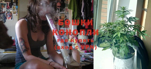PSILOCYBIN Каменск-Шахтинский