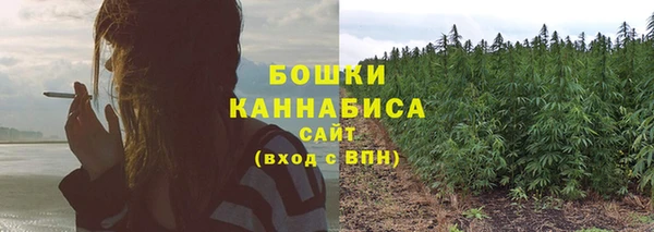 PSILOCYBIN Каменск-Шахтинский