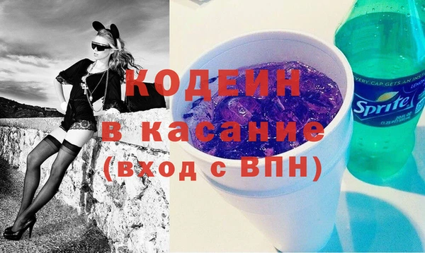 стаф Каменногорск