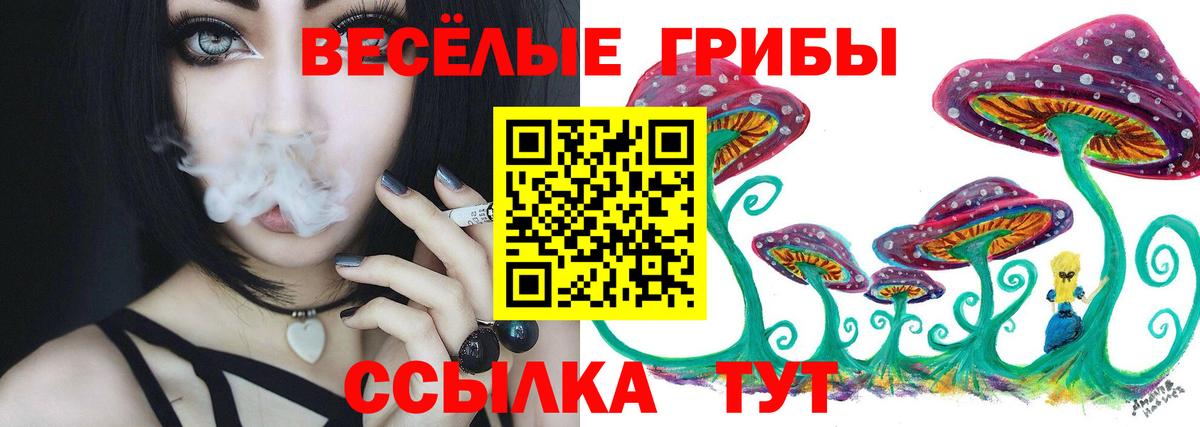 Октябрьский  Псилоцибиновые грибы GOLDEN TEACHER  Вход с VPN  Псилоцибиновые грибы Psilocybe 